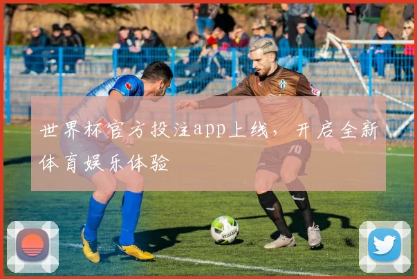 世界杯官方投注app上线，开启全新体育娱乐体验