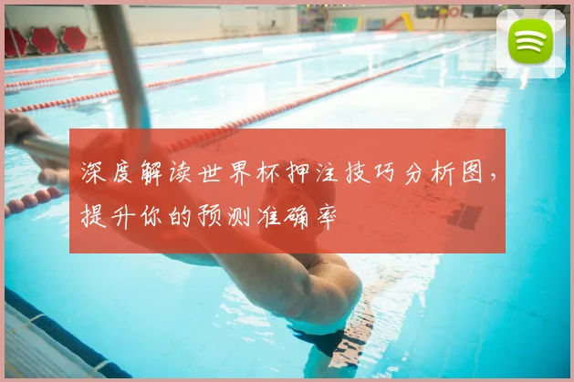 深度解读世界杯押注技巧分析图，提升你的预测准确率