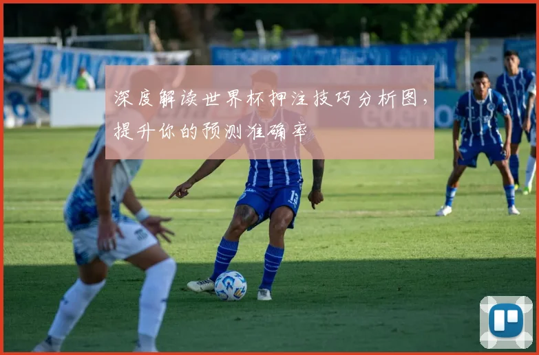 深度解读世界杯押注技巧分析图，提升你的预测准确率